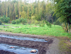 ���ƂȂ��Ă��܂����A���͓͂y�ۂƋ�x���B