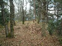 �S�i�ɂ킩�ꂽ���㕔