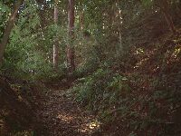 ��\�͂悭�������ł����ʐ^������B