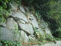 �ł����݃n�M�̐Ί_�H�I